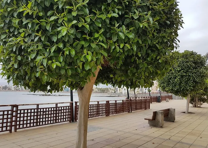 Canariasbrisamar - * Arinaga